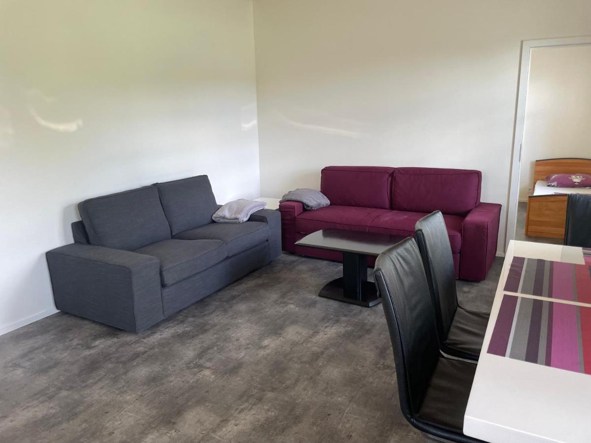 River Wellness Jince Exterior foto